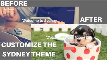 Sydney WordPress Theme: How to Customize