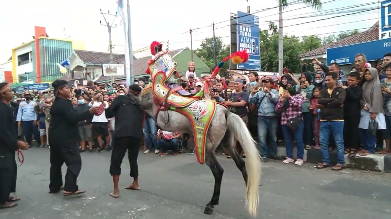 ATRAKSI KUDA RENGGONG SI RONAL BUNGSU DI ACARA ULANGTAHUN MAJALENGKA YANG KE-532