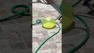 pupazzi gonfiabili acqua Palermo 2 parte