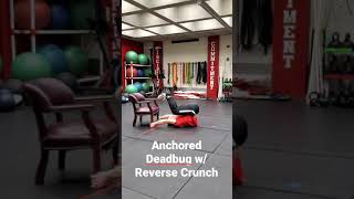 Reverse Crunch Deadbug