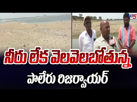 నీరు లేక వెలవెలబోతున్న పాలేరు రిజర్వాయర్ | Khammam Paleru Reservoir Latest Updates | TV5 News - TV5NEWS