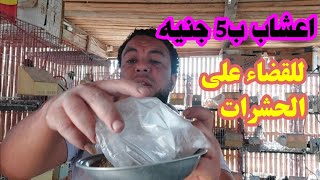 ب 5 عشبه مهمه جدا للقضاء على الحشرات نهائي في الحمام