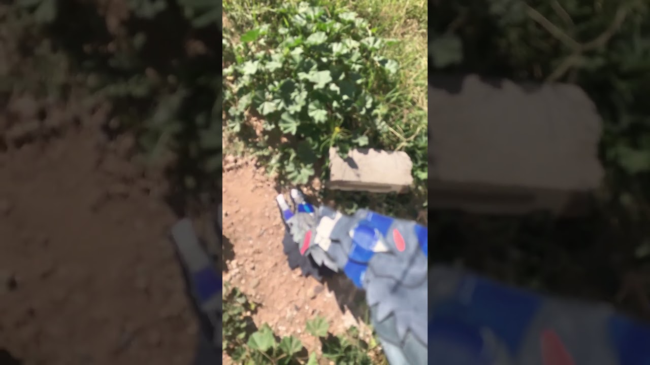 FERN 2.0 WHY DID YOU PUSH FERN 1.0 OFF THE ROOF!!! 