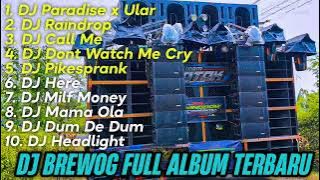 DJ BREWOG FULL ALBUM ° DJ PARADISE