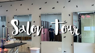 Posh Paws Grooming Salon Tour