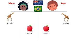 Identifying Developmental Language Disorders in Multilingual Children though Dynamic Assessment