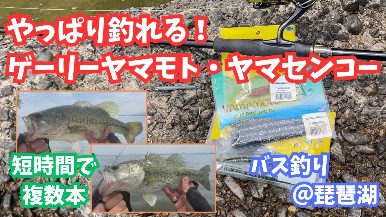 Bass Fishing] The Yamamoto Senko Really Does Catch Fish! [Lake