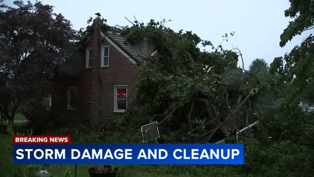 Severe storms bring down trees, leaving thousands without power across ...