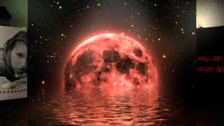 The Lost & Forgotten