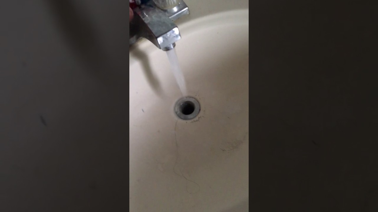 1269 2014 niza pro toilet YouTube