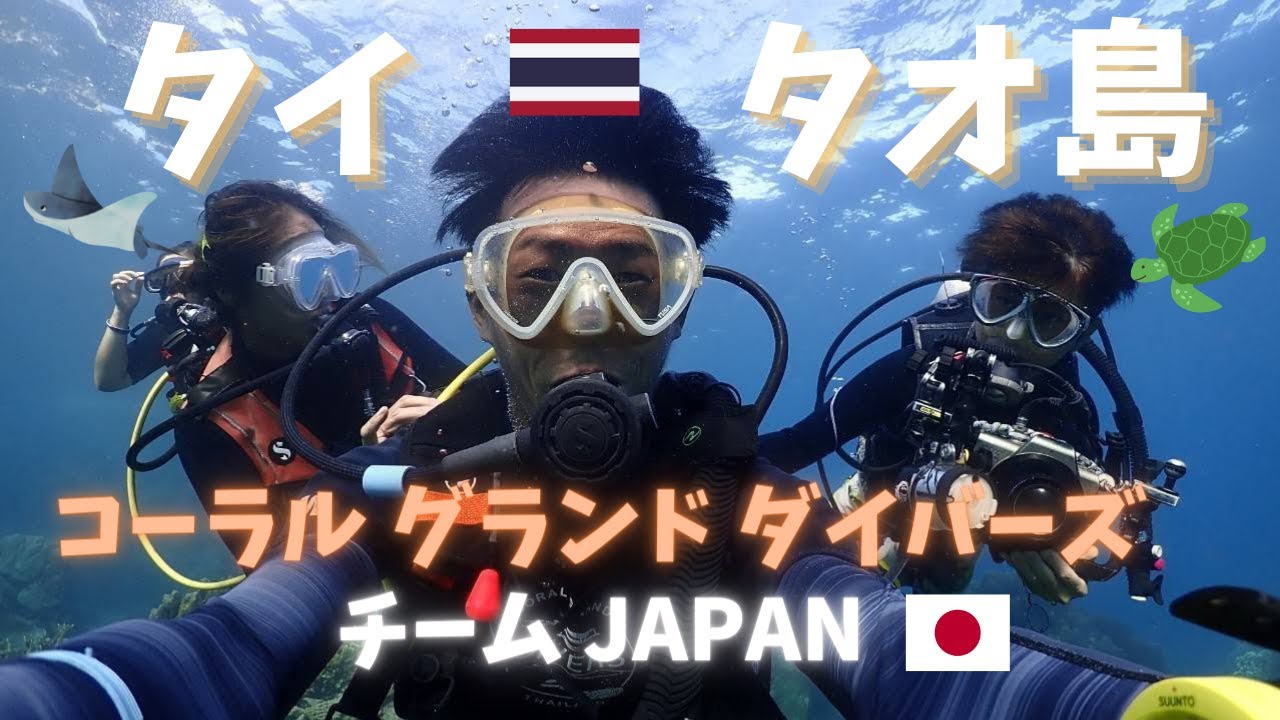 【タイ】タオ島 綺麗！最高！ダイビング師匠達と一緒に水中へファンダイビング！