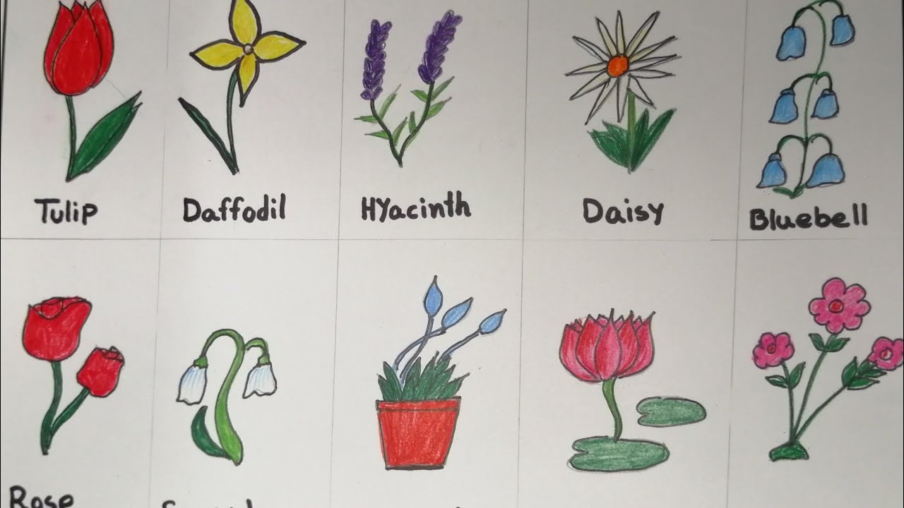 How to draw Different types of flowers | How to Draw & Coloring ...