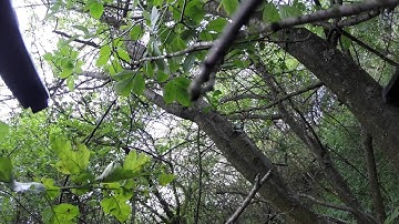 MJX Bugs 3 Quadcopter fail crash