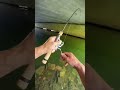 fishing lure#floridafishing #viral #shorts #usa #australia #lure #fishing #carpfishing