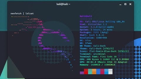 Howe install lolcat on kali linux terminal