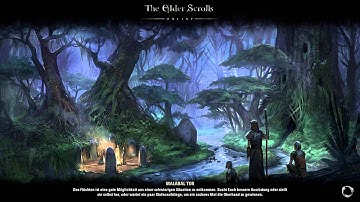 Elder Scrolls Online Freeze Bug