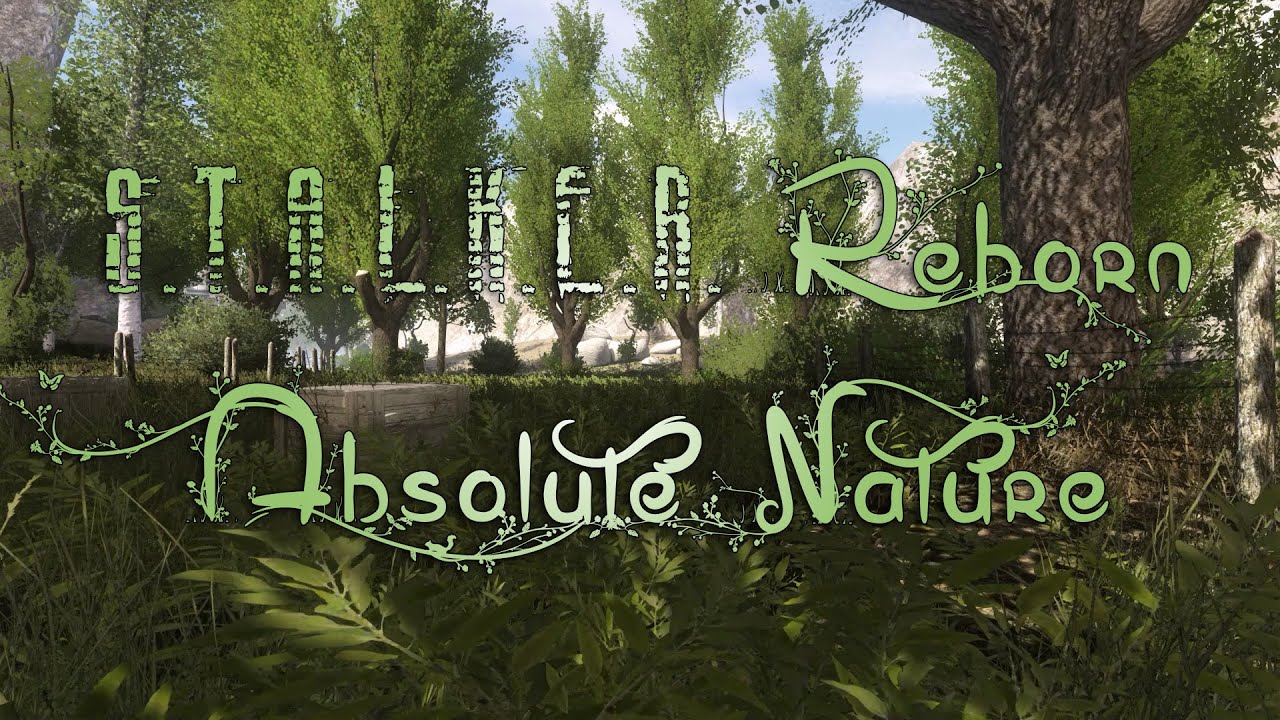 STALKER ANOMALY REBORN ABSOLUTE NATURE YouTube
