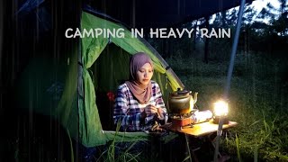 Camping on a mountain slope during heavy rain, with ASMR-forest animal sounds