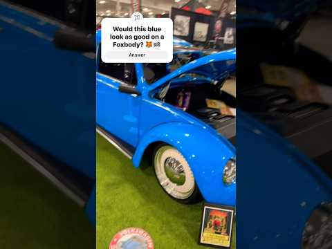 SUPER KOOL!! 🤩