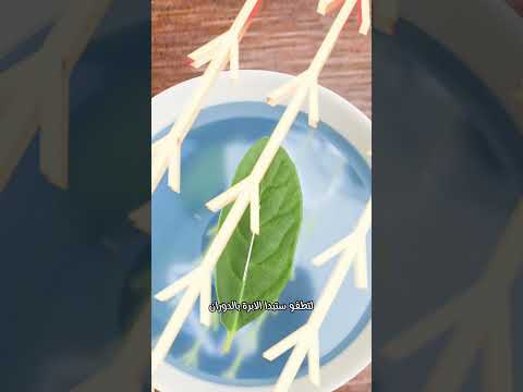 اصنع بوصلة بسيطة في المنزل