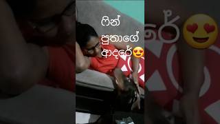 My finn#srilankan dobarmen#dog lover🐕🦺😍