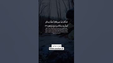 تلاوات نادرة #تلاوات_خاشعة #تلاوة_خاشعة #حالات_واتس #واتس #قرآن_كريم #قران_كريم #تلاوات #اسلاميات