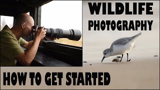 WILDLIFE PHOTOGRAPHY-HOW TO GET STARTED screenshot 5