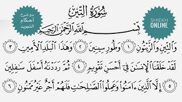 تعلم قراءة سورة التين مع شرح أحكام التجويد