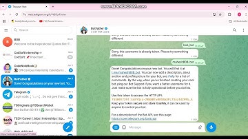 Telegram ChatBot Full Stack Development 301