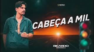 Cabeça a Mil - Ricardo Rapazolla