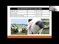 Goat and Sheep Management  Preparing for the Breeding Season Part 1 HD