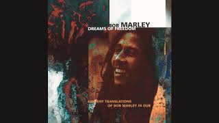 Bob Marley – The Heathen (Bill Laswell Remix)
