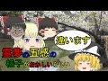 [ゆっくり茶番] 霊夢の五感の様子がおかしいらしい