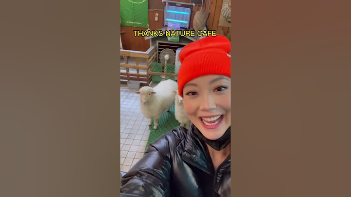 YOU WONT BELIEVE THESE ANIMAL CAFES IN SOUTH KOREA 😱😍