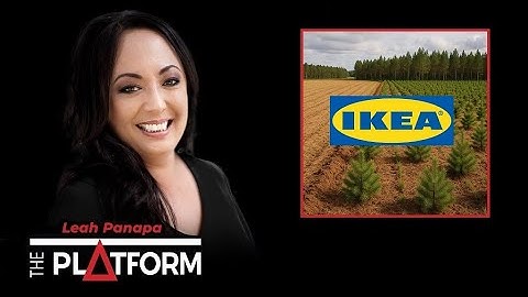 Porangahau Farmer, James Hunter On Prime Farmland Being Turned Into Pine Forests