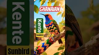 Download Lagu Wait...is that a Bird or A Fashion Model ? #ghana #kenteart #sunbirdshorts #africanfauna #animals MP3
