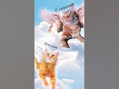 символ младший погиб😭 - YouTube
