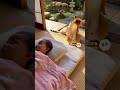 嫉妬か?www #ai #犬 #shorts
