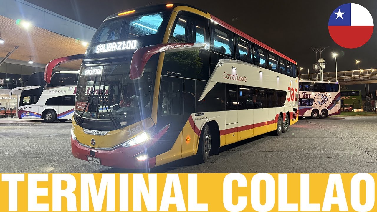 Terminales y Rodoviarios #54 | Movimiento de Buses en Terminal Collao de Concepcion
