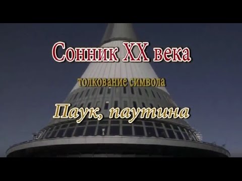 К чему снится Паук, паутина сонник, толкование сна