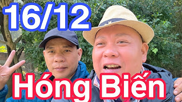 16/12 Hóng Biến #dungmapvlog #dungtocdaitv #thichminhtue