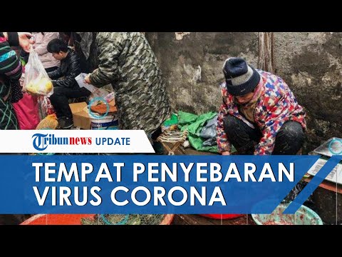 Video: Bagaimana dan di mana coronavirus berasal dari China pada tahun 2020