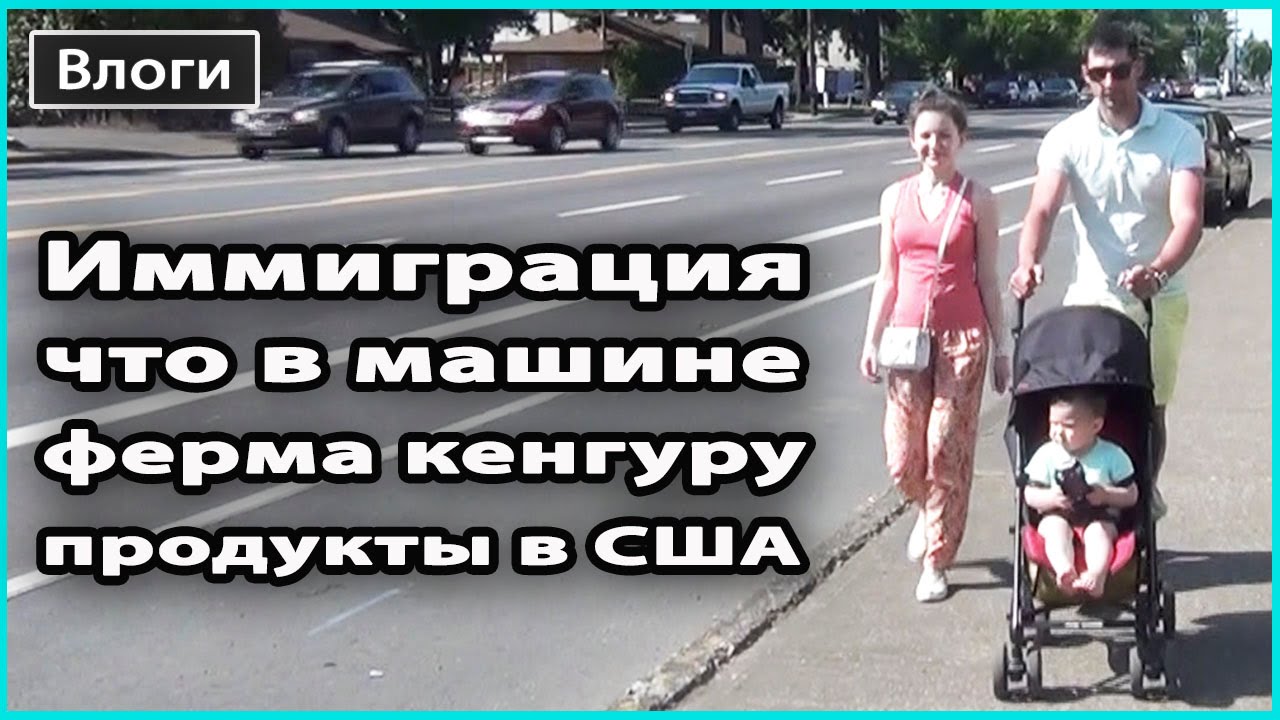 Кенгуру на машине