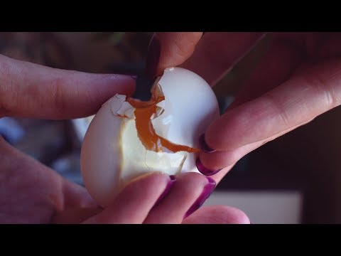 რა მოხდება თუ კვერცხს მოვათავსებთ სპირტში?