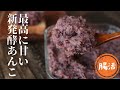 新☆発酵あんこ【砂糖不使用】【アンチエイジング】【甘い発酵あんこ】