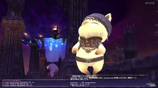 【FF11】ヴォイドウォッチを進めていこう(vs Ig-Alima / vs Botulus Rex) 配信#210