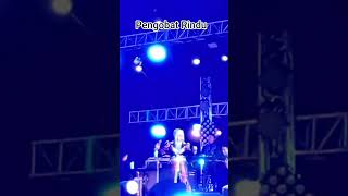 Download Lagu Elvy Sukaesih x Mahkota Group ~ Pengobat Rindu @ synchronize fest 2025 #fypシ #dangdut MP3