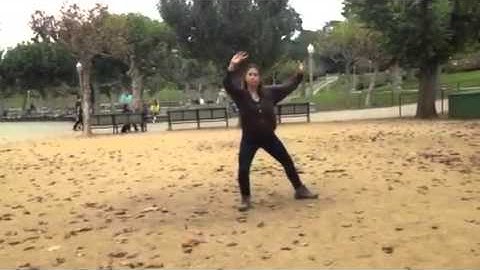 Hunyuan Taiji Yi-Lu AKA 83 Form Section 5