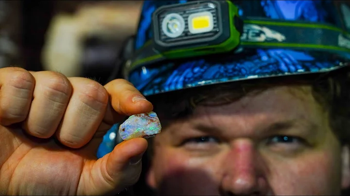 Opal Miners Discover Rare 100 Million Year Old Spe...