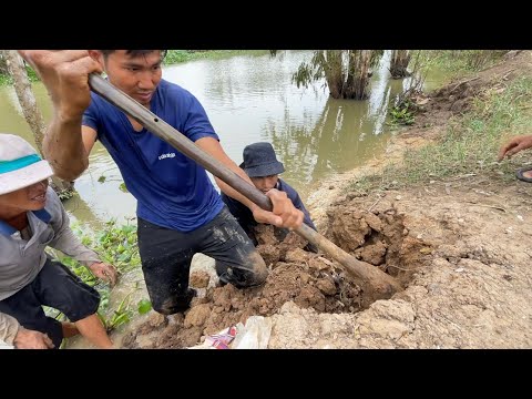 Video Trúng Ngay Cặp Rắn Hổ Hành Trong Hang - TT1573 - youtube